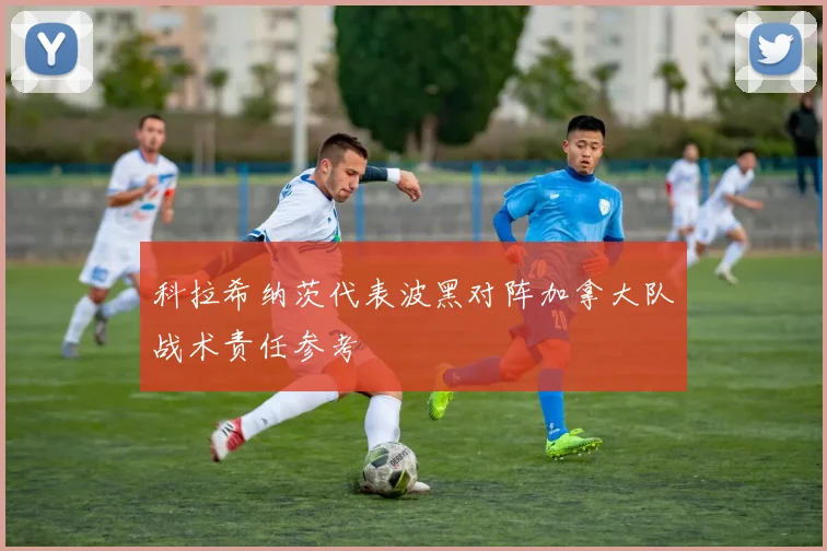 科拉希纳茨代表波黑对阵加拿大队战术责任参考