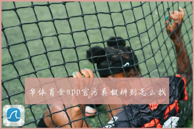 华体育会app官方真假辨别怎么找