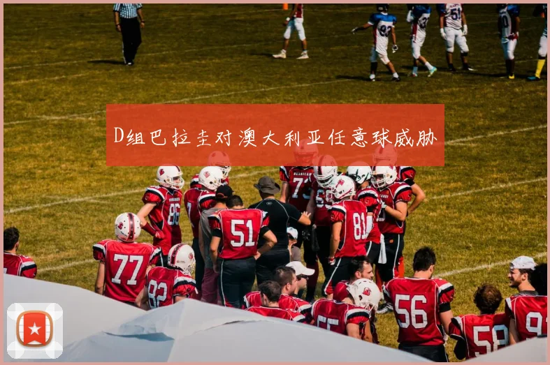D组巴拉圭对澳大利亚任意球威胁