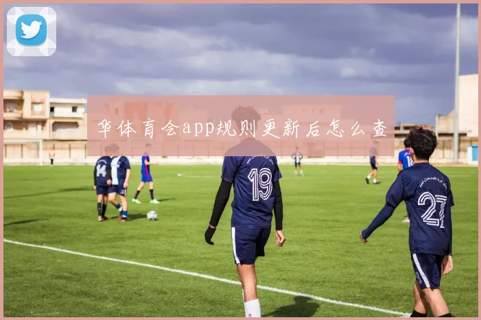 华体育会app规则更新后怎么查
