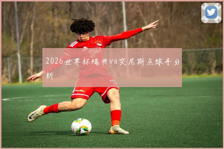 2026世界杯瑞典vs突尼斯点球手分析